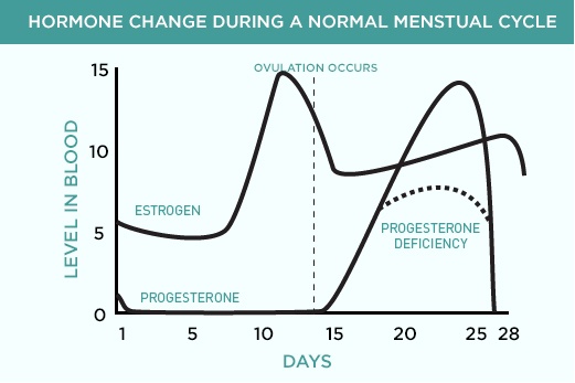 HormoneChart-01