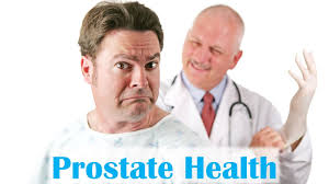 prostate 